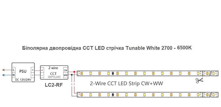 Controller dimmer 2 в 1 Single White/CCT  2.4GHz + PUSH DIMM 12-48В TK LC2-RF     photo
