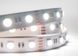 Led strip Milight SMD5050(4IN1) MI-LED-RGBW60NW1220 photo 4