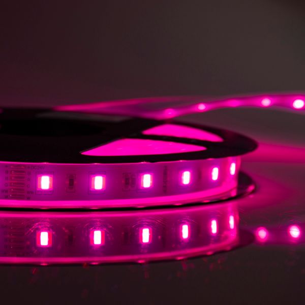 LED Strip RGB+CCT, SMD5050 5 в 1, 15мм, 60LED/m,  22W/m, 455LM/m, 24V IP65 5м MI-LED-LSL5T01N photo