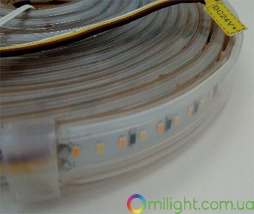 LED лента SMD2216 Everlight CCT LED Strip, IP65 MI-LED-DW180CCT2465-2216 фото