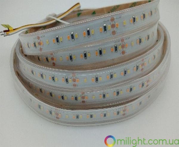 LED стрічка SMD2216 Everlight CCT LED Strip, IP65 MI-LED-DW180CCT2465-2216 фото