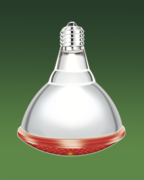 Инфракрасная лампа для обогрева животных InterHeat PAR38R, Е27, красная IH175PAR38R фото