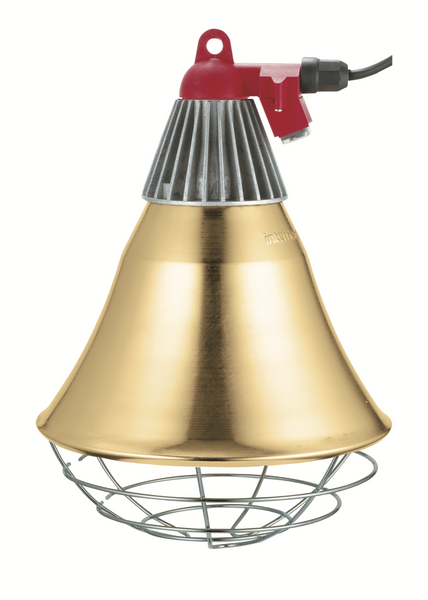 Брудер для інфрачервоної лампи InterHeat з перемикачем, E27 LP300S-7G фото