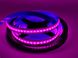 LED strip RGB+CCT, COB 5 in 1, 12mm, 560LED/m, 16W/m, 352LM/m, 24V IP20 5m Mi-Boxer MI-LED-CSL5N01H photo 6